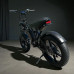 Електровелосипед VOLTO Vortex 20" 1000W 19Ah PAS Чорний