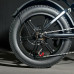 Електровелосипед VOLTO Vortex 20" 1000W 19Ah PAS Чорний