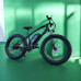Електровелосипед VOLTO Storm 1000W 48V 18Ah